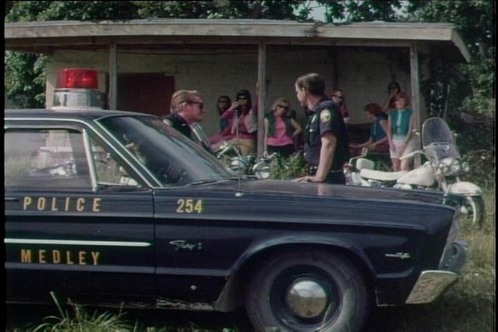 シー・デビルズ・オン・ホイールズの画像