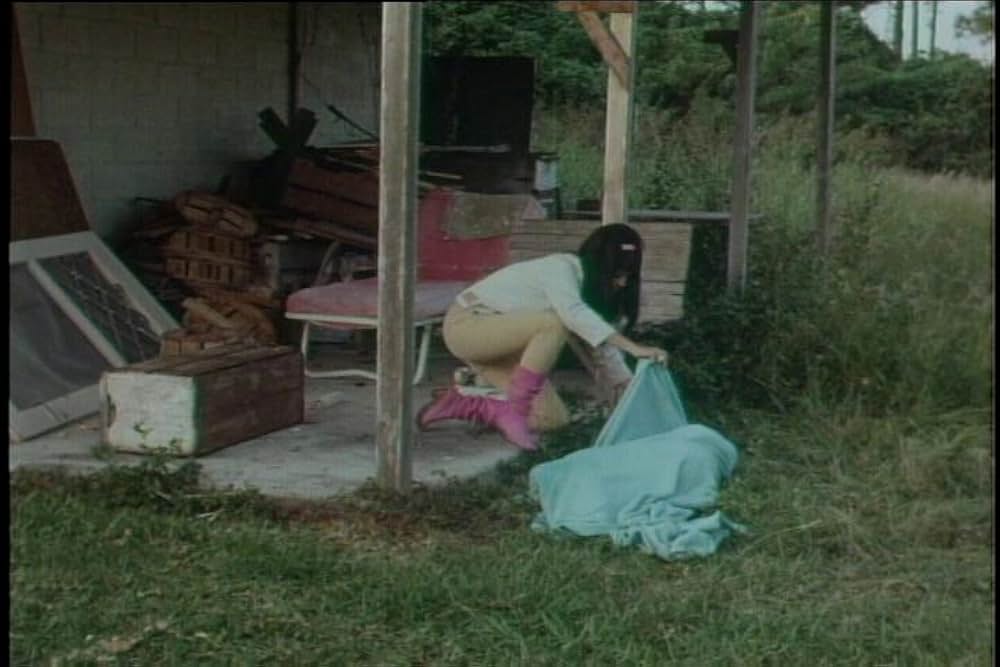 シー・デビルズ・オン・ホイールズの画像