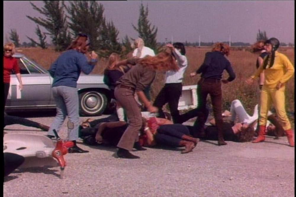 シー・デビルズ・オン・ホイールズの画像