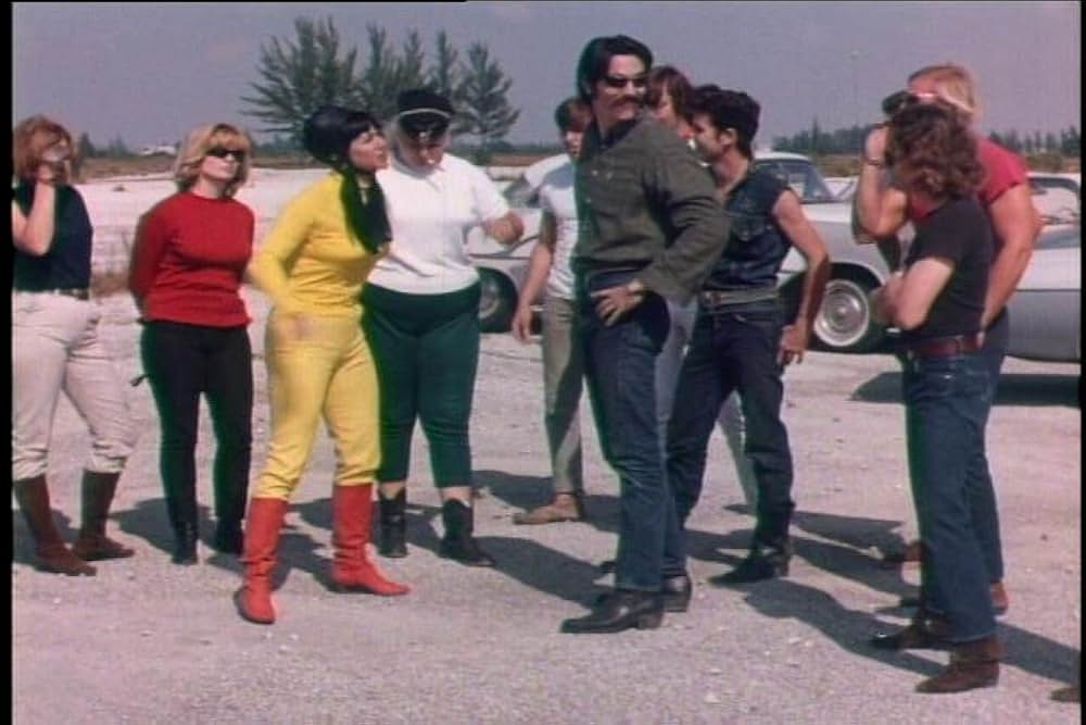 シー・デビルズ・オン・ホイールズの画像