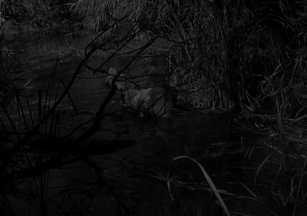 執念のミイラの画像