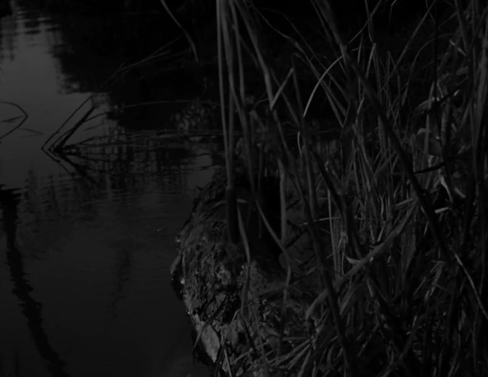 執念のミイラの画像