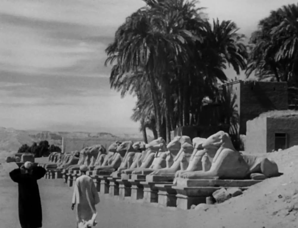 執念のミイラの画像