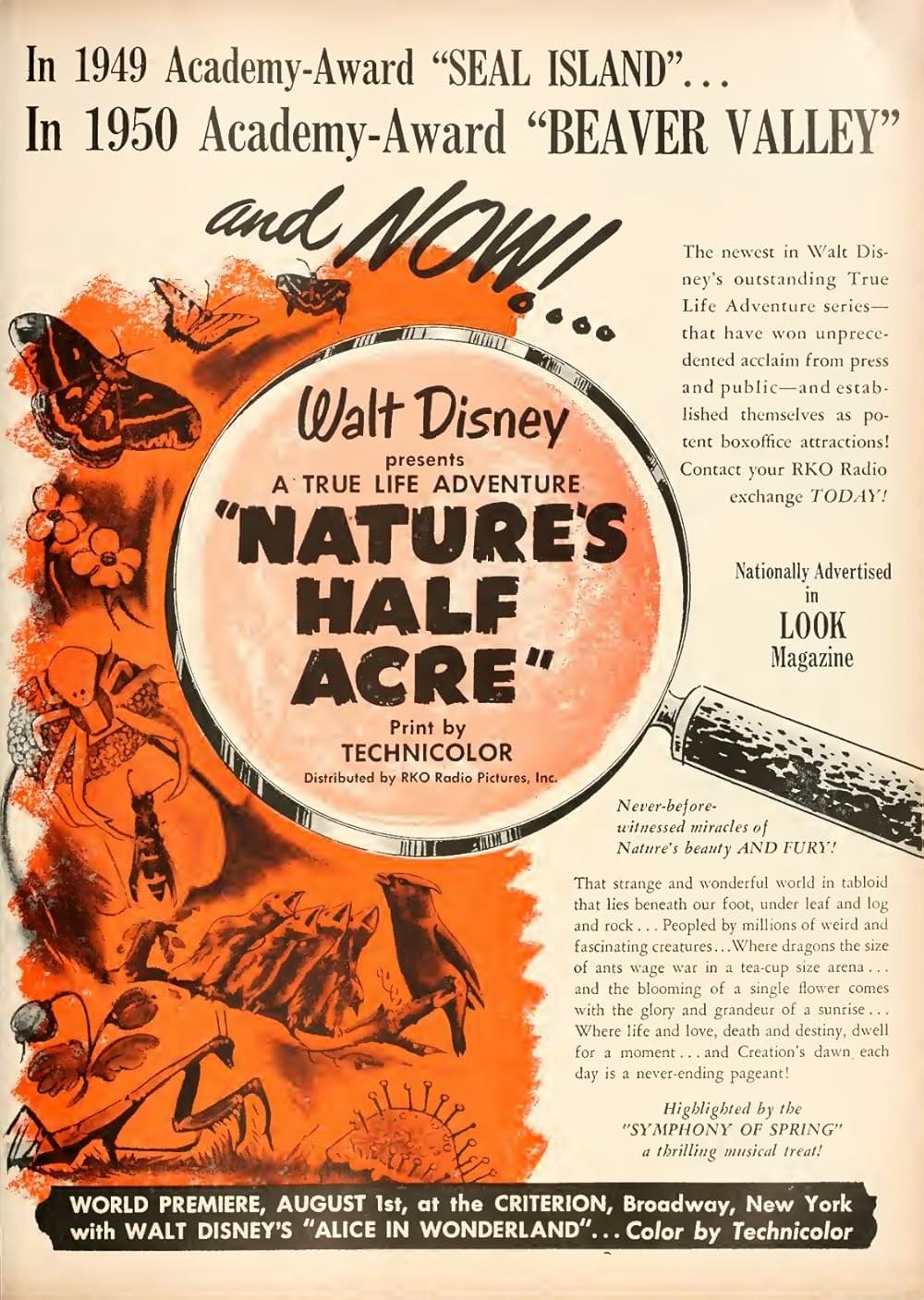 大自然の片隅の画像