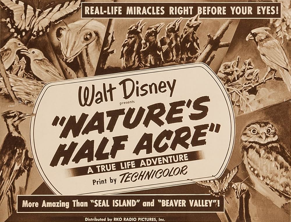 大自然の片隅の画像