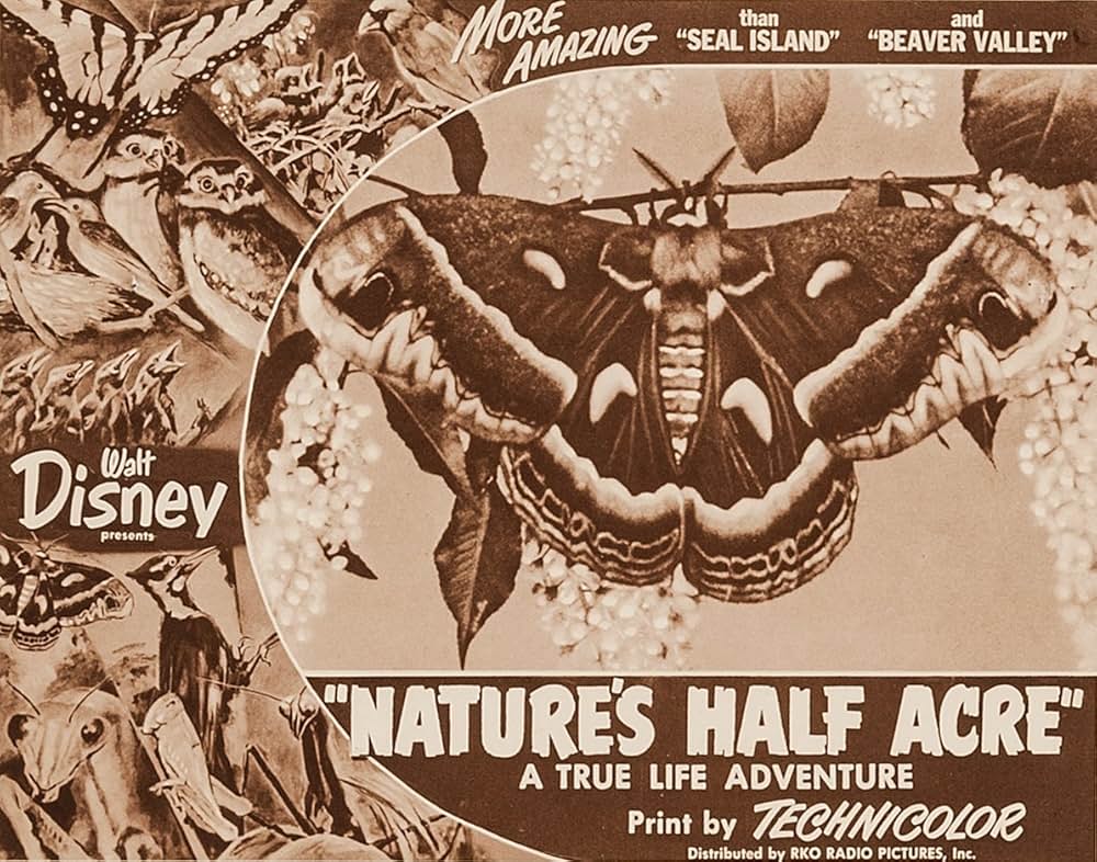 大自然の片隅の画像