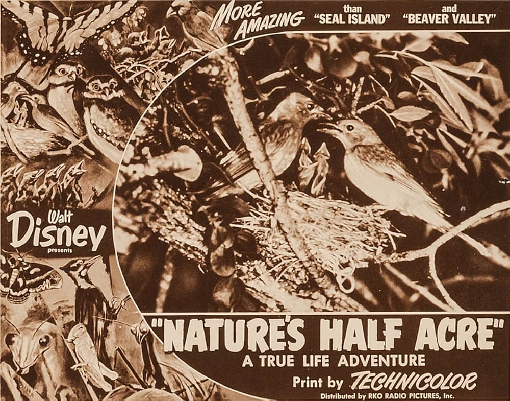 大自然の片隅の画像