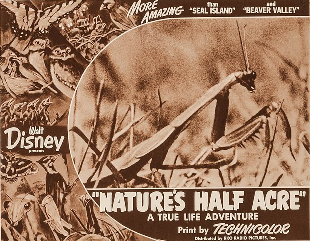 大自然の片隅の画像