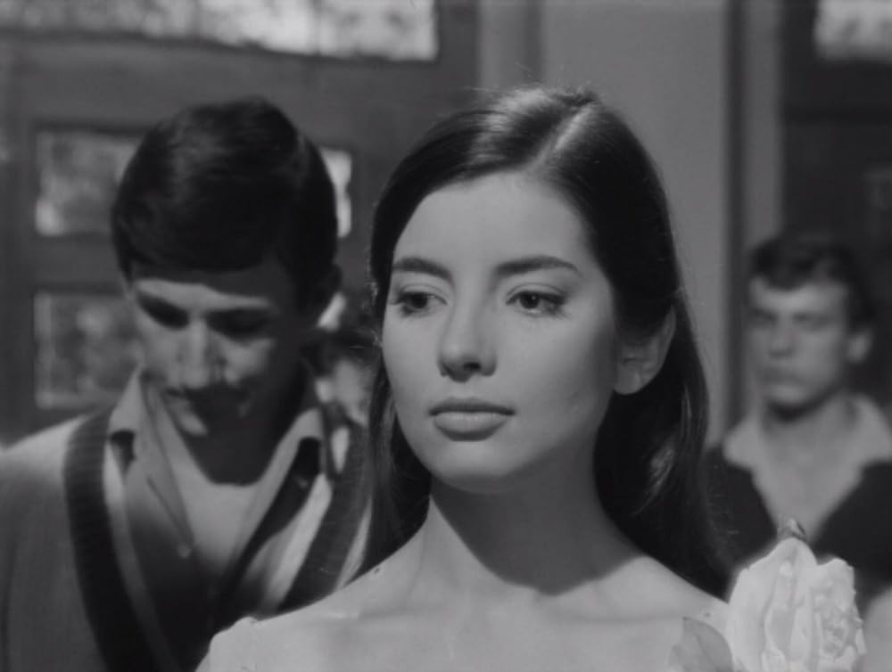 激しい季節の画像