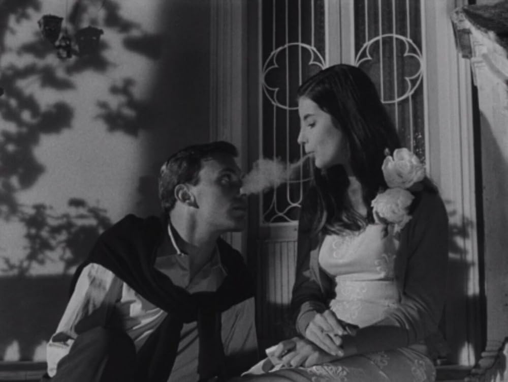 激しい季節の画像