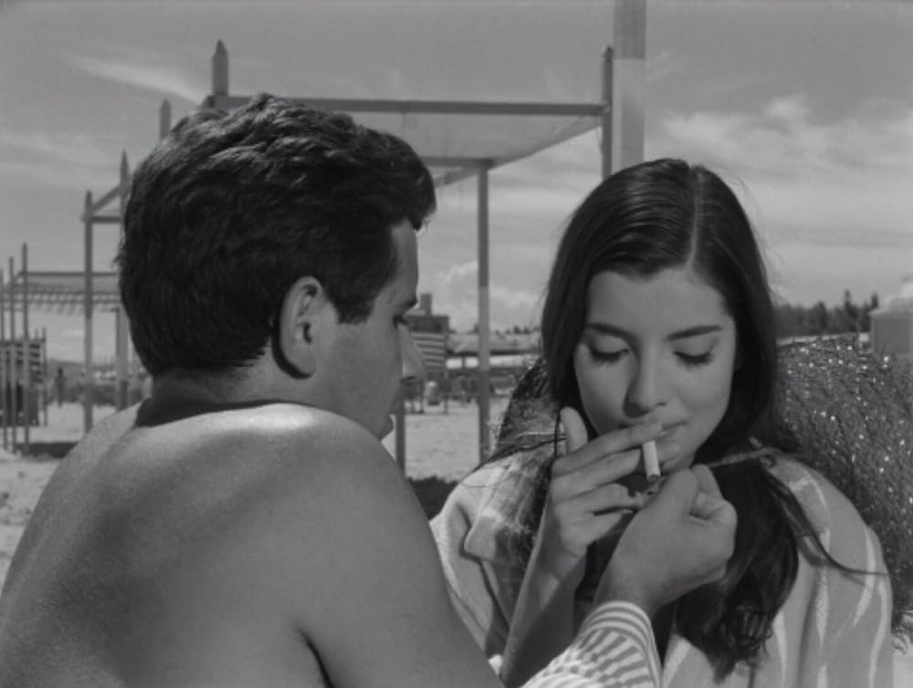 激しい季節の画像