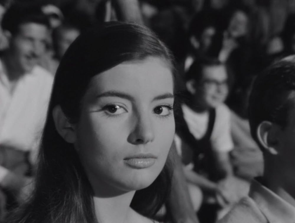 激しい季節の画像