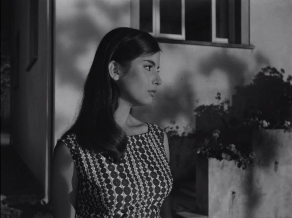 激しい季節の画像