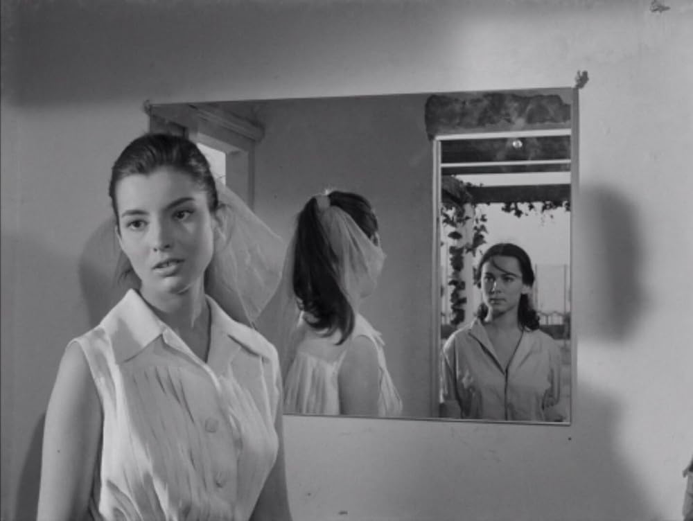 激しい季節の画像