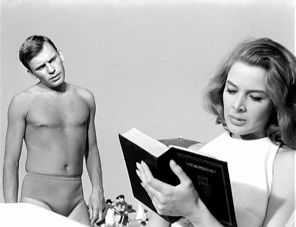 激しい季節の画像