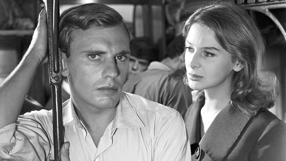 激しい季節の画像