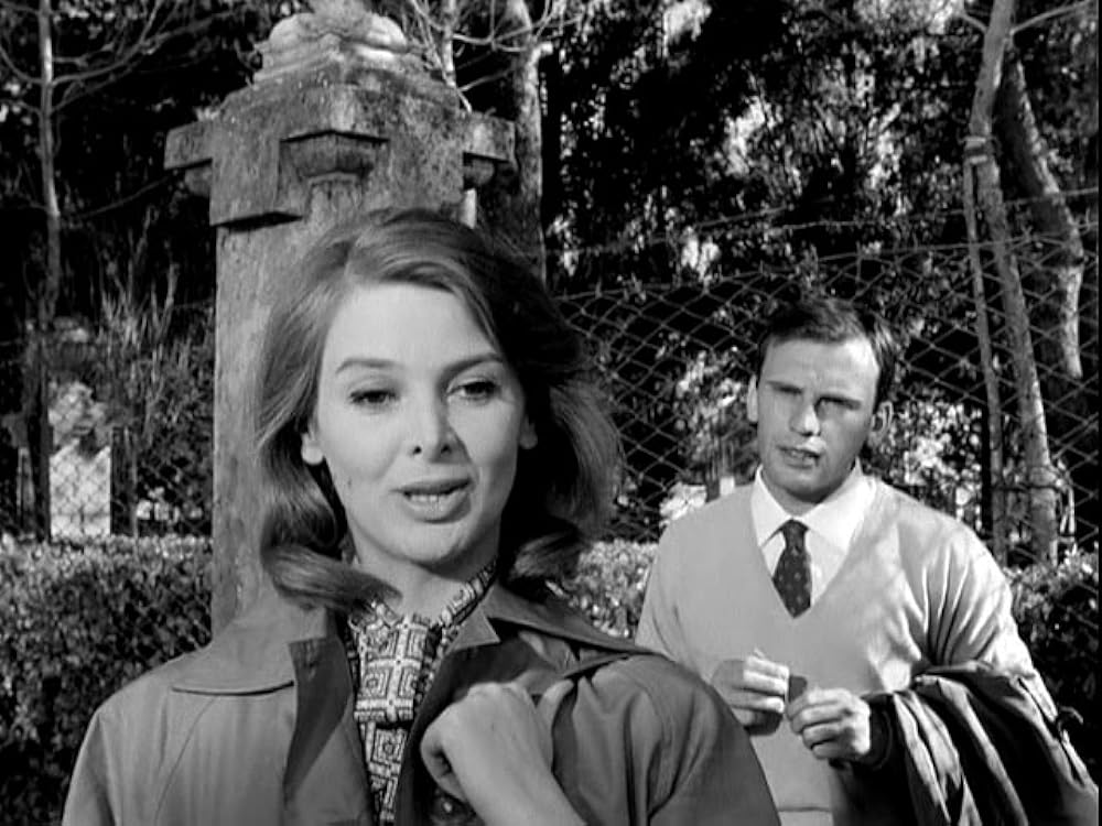 激しい季節の画像