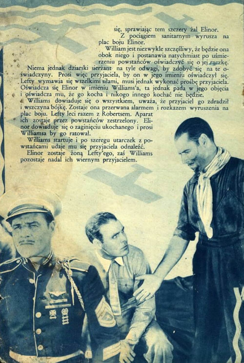 空の王者の画像