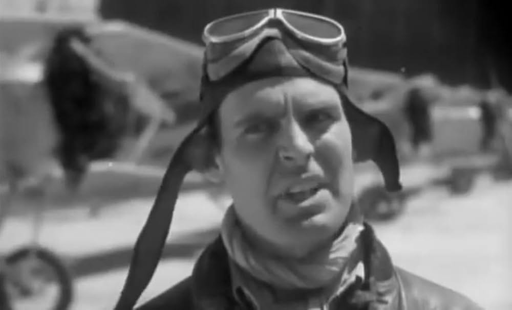 空の王者の画像