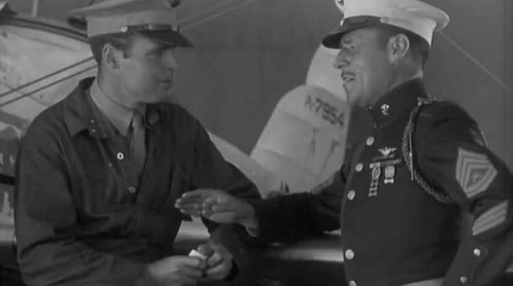 空の王者の画像