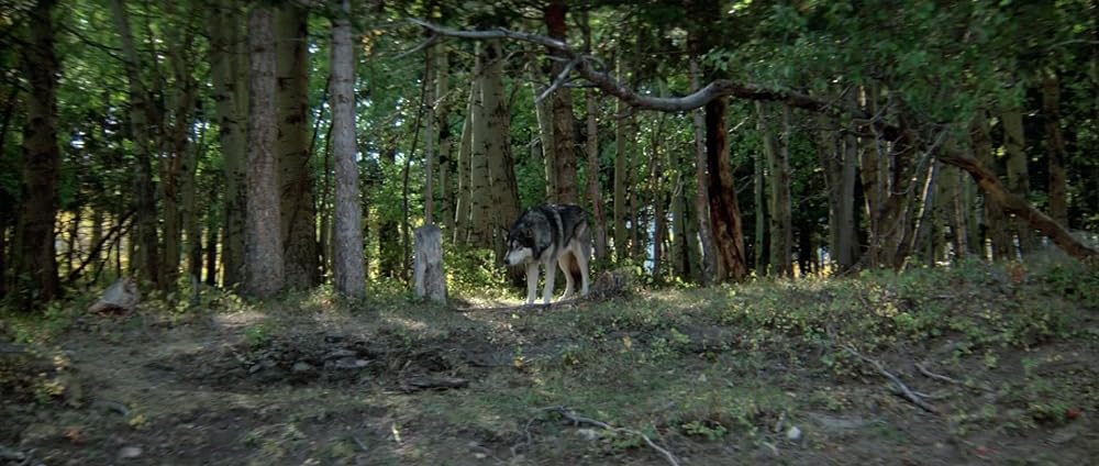 ナティ物語の画像