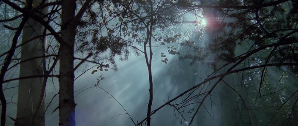 ナティ物語の画像