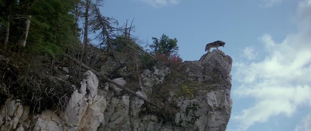 ナティ物語の画像