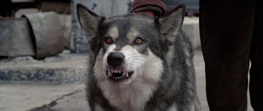 ナティ物語の画像