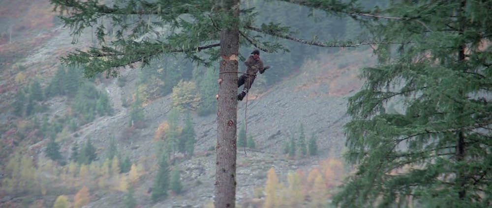 ナティ物語の画像