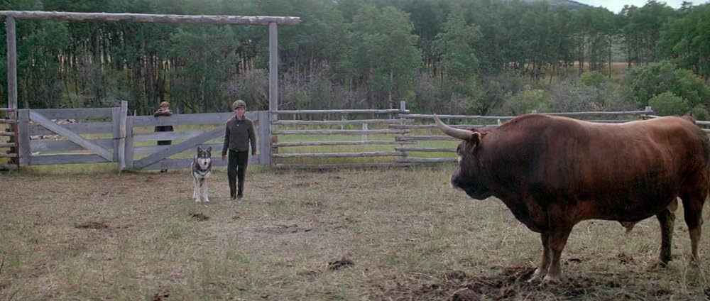 ナティ物語の画像