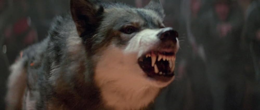 ナティ物語の画像