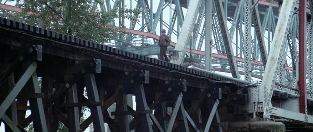 ナティ物語の画像