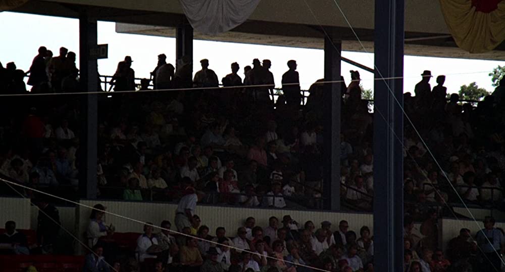 ワイルド・ブラック／少年の黒い馬の画像