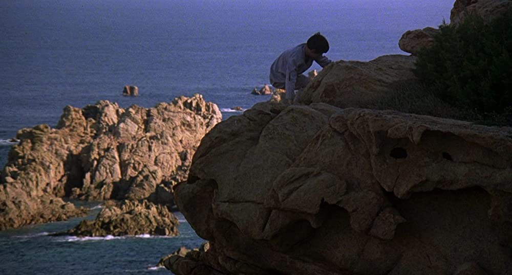 ワイルド・ブラック／少年の黒い馬の画像