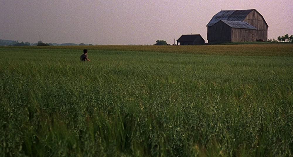 ワイルド・ブラック／少年の黒い馬の画像