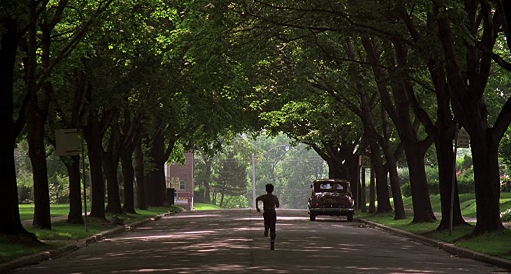 ワイルド・ブラック／少年の黒い馬の画像