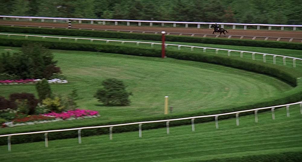 ワイルド・ブラック／少年の黒い馬の画像