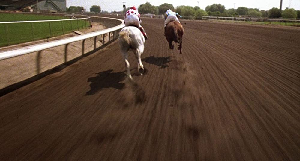 ワイルド・ブラック／少年の黒い馬の画像