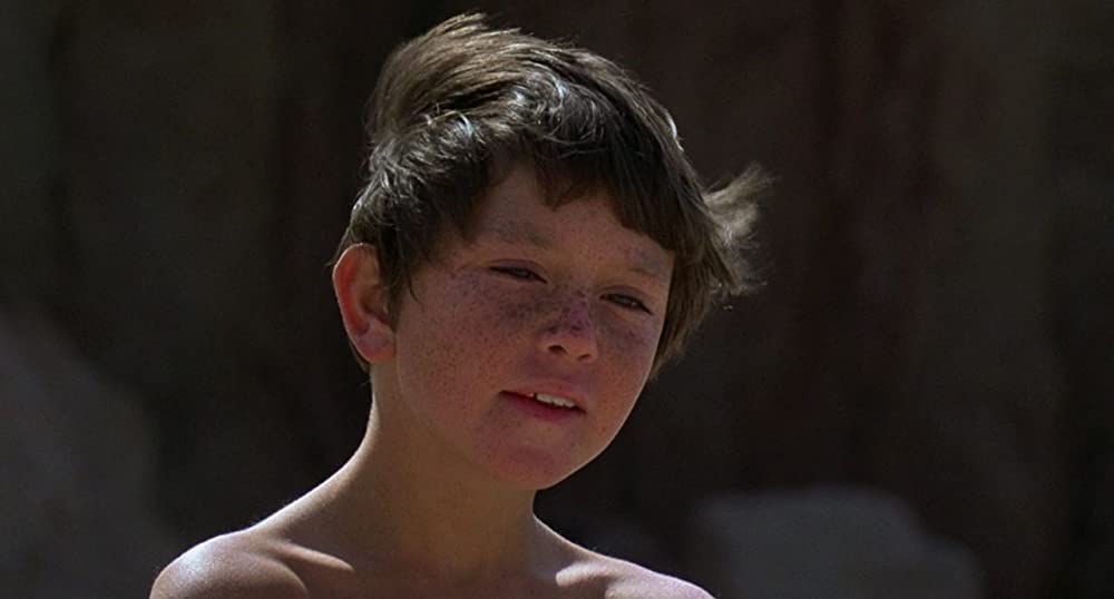 ワイルド・ブラック／少年の黒い馬の画像