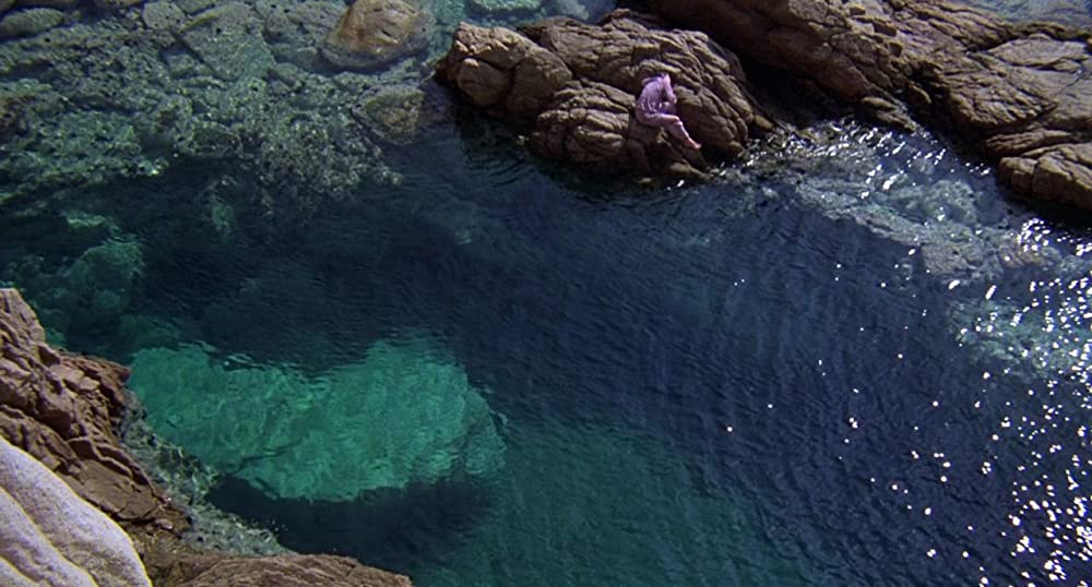 ワイルド・ブラック／少年の黒い馬の画像