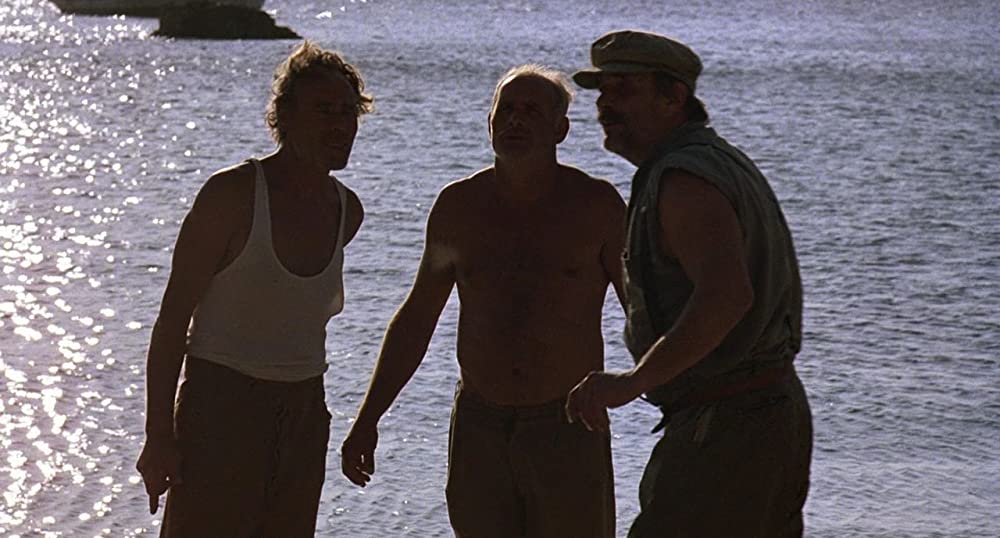 ワイルド・ブラック／少年の黒い馬の画像