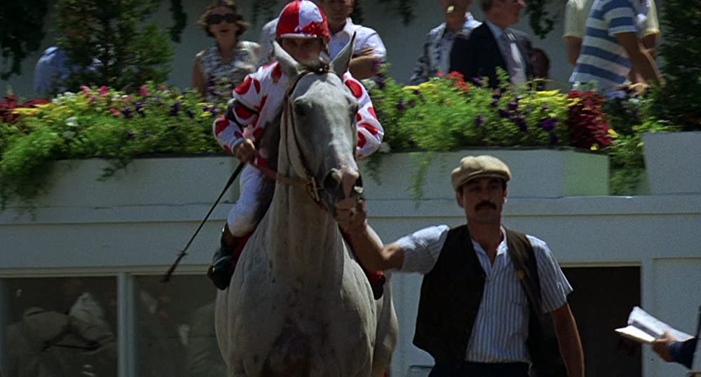 ワイルド・ブラック／少年の黒い馬の画像