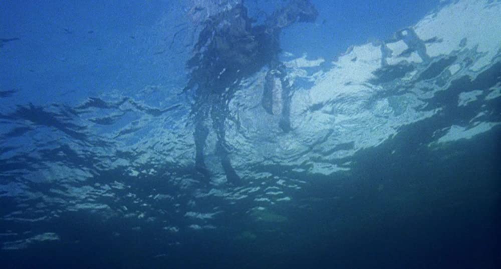 ワイルド・ブラック／少年の黒い馬の画像