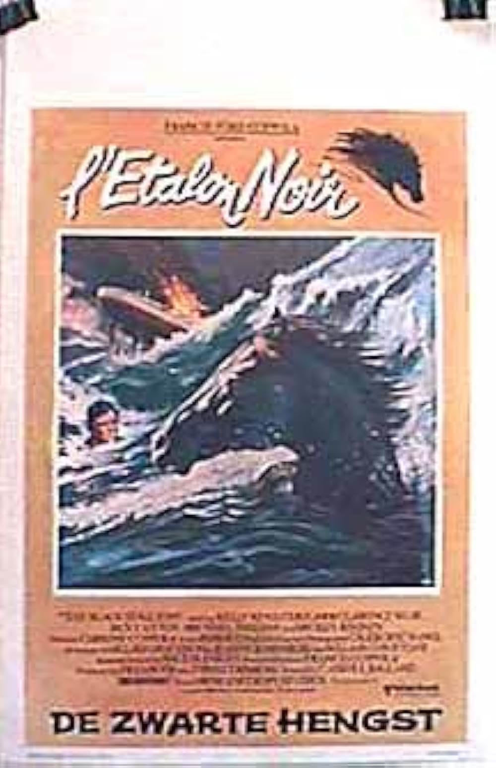 ワイルド・ブラック／少年の黒い馬の画像