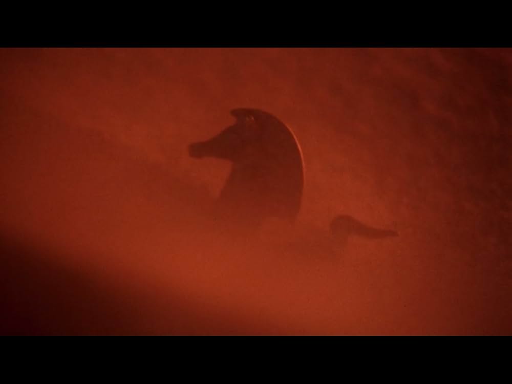 ワイルド・ブラック／少年の黒い馬の画像