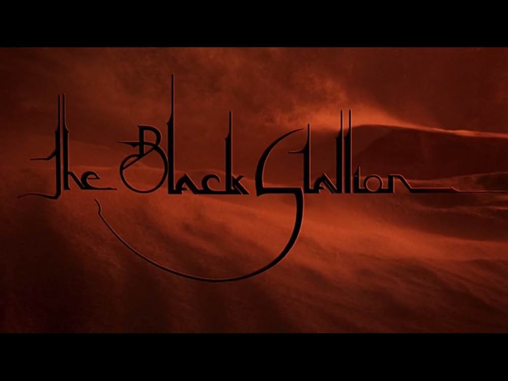 ワイルド・ブラック／少年の黒い馬の画像