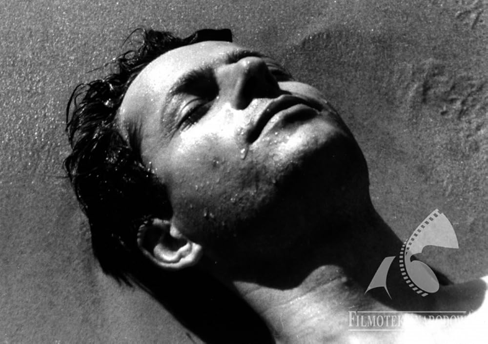 夏の最後の日の画像