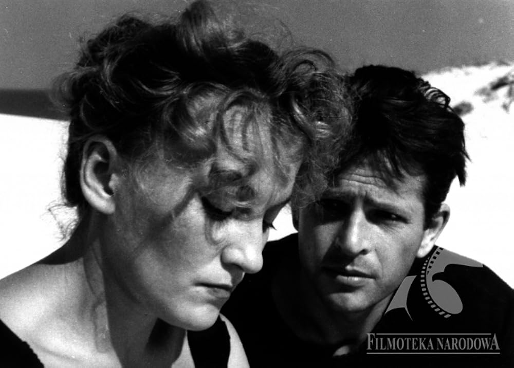 夏の最後の日の画像