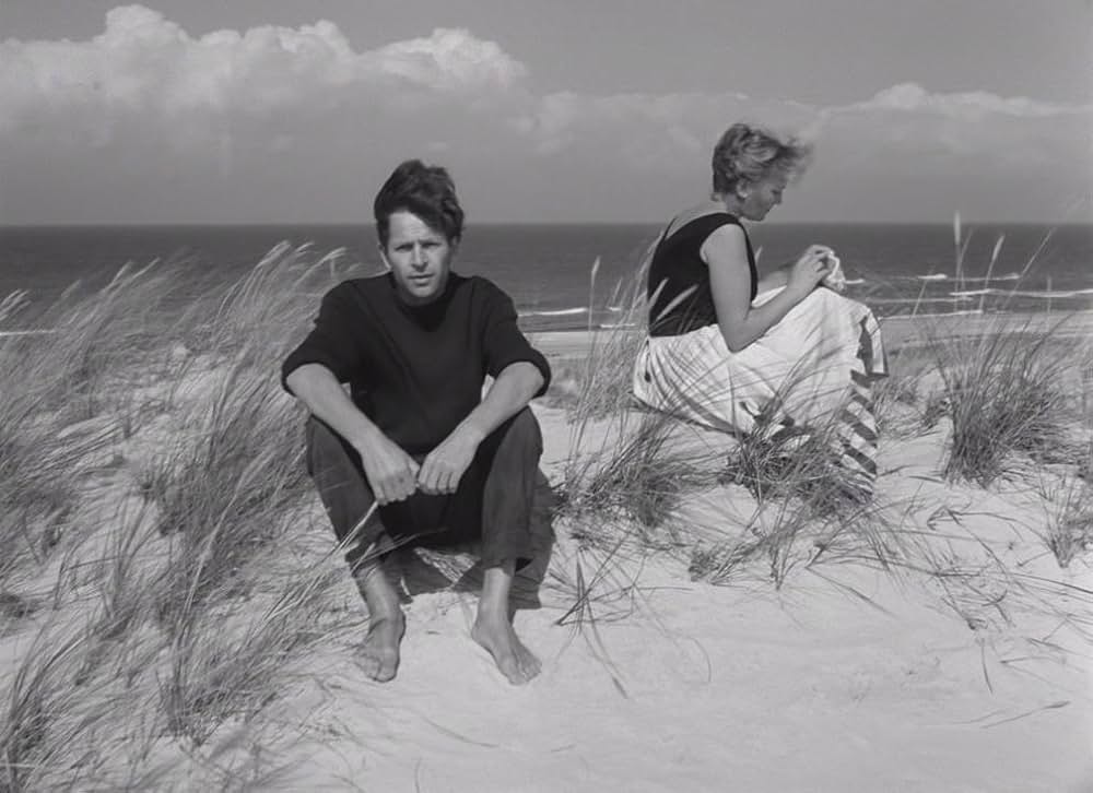 夏の最後の日の画像