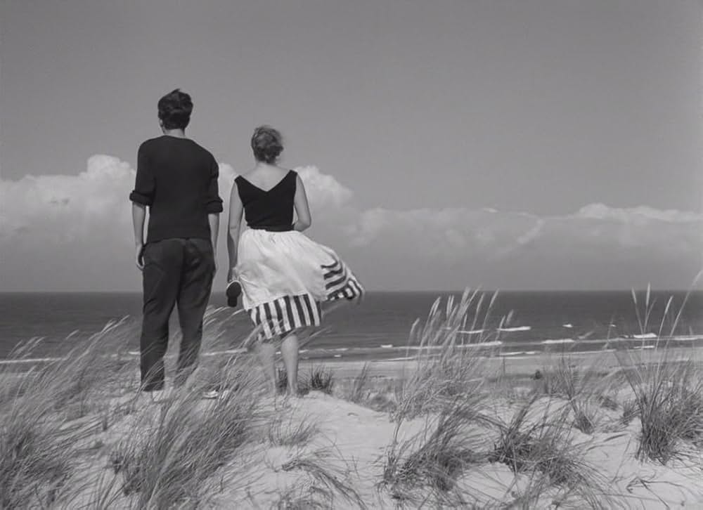 夏の最後の日の画像